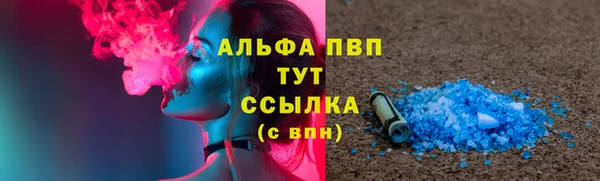 сатива Каменногорск