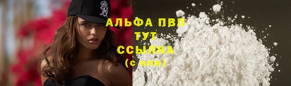 сатива Каменногорск