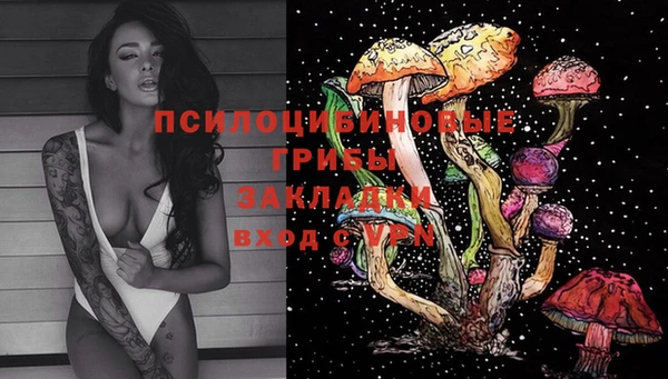 сатива Каменногорск