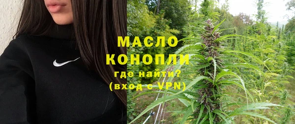сатива Каменногорск