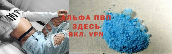 сатива Каменногорск