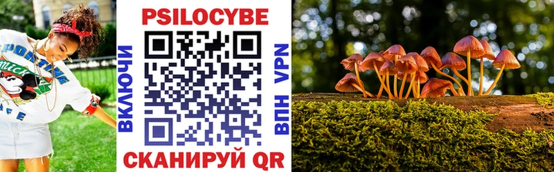 Галлюциногенные грибы Cubensis  Купить закладки  Верхняя Пышма 