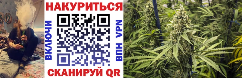 Шишки марихуана планчик  Купить закладки  Верхняя Пышма 